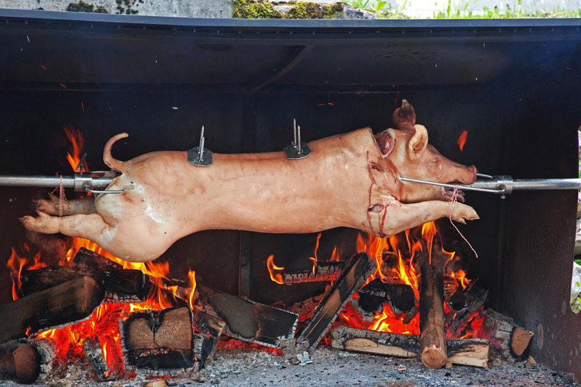 pig roast for spring celebration