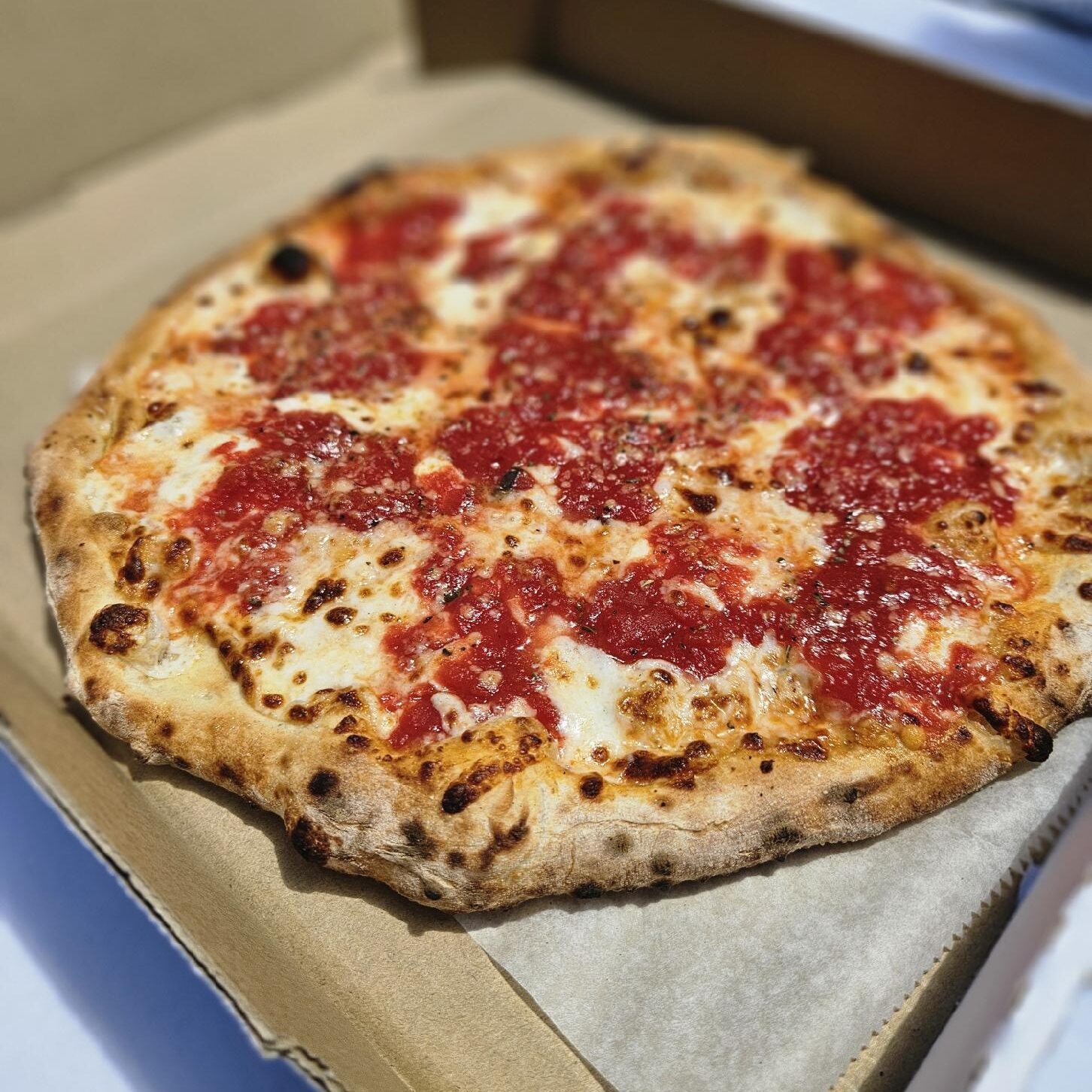 oven fired pizza